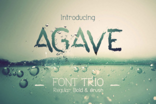 Agave Font Trio: Perfectly Paired Typography